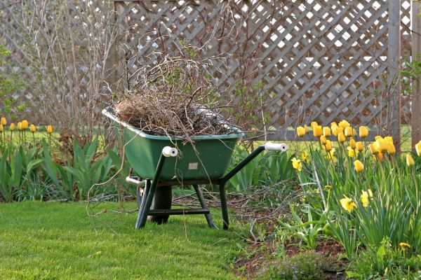 Flower Bed Cleanup Service in Terre Haute