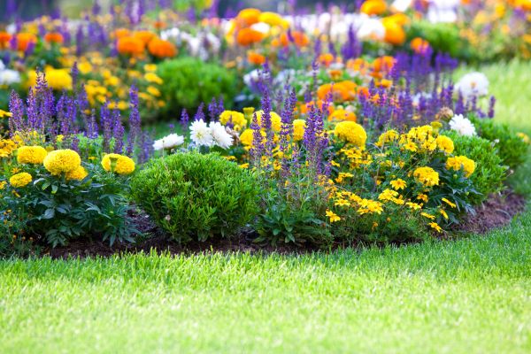 Flower Bed Maintenance in Terre Haute