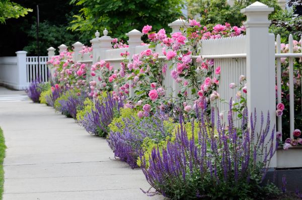 Garden Handyman Service in Terre Haute