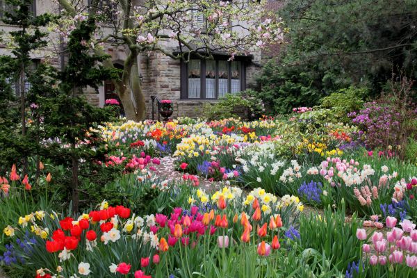 Garden Maintenance Service in Terre Haute