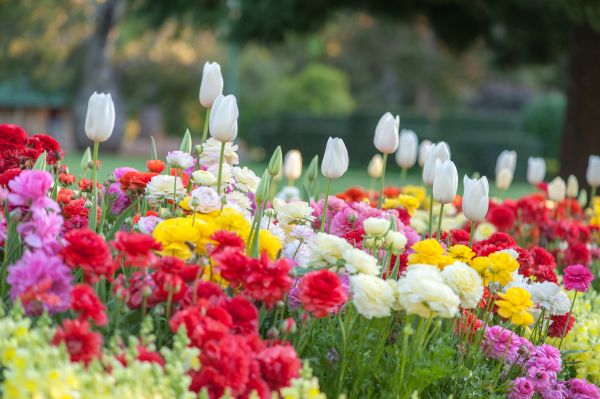 Gardening Service in Terre Haute