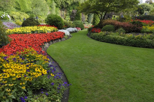 Landscaping Maintenance in Terre Haute