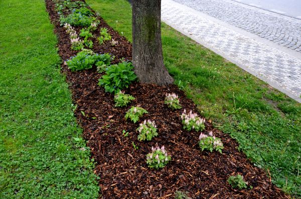 Mulch Replacement Service in Terre Haute