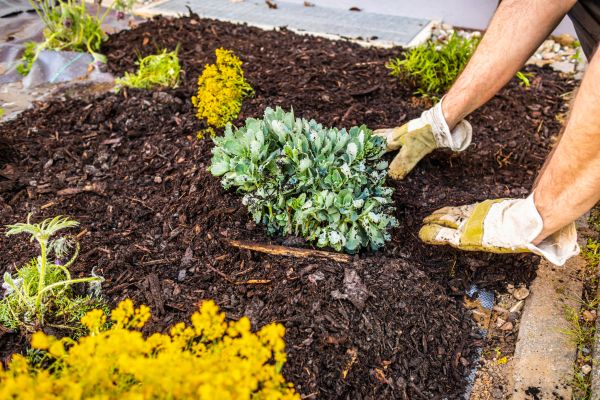 Weeding And Mulching in Terre Haute