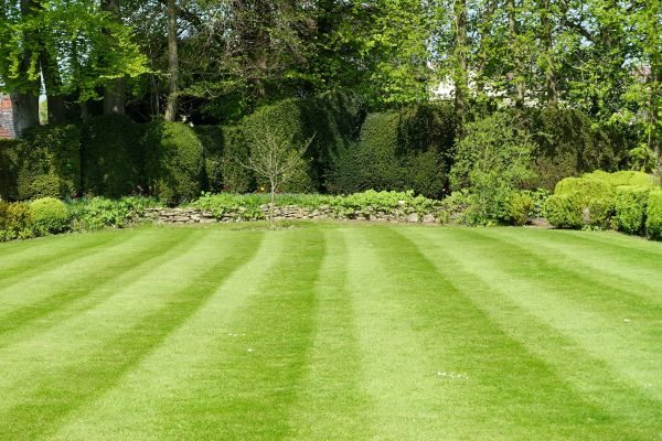 Lawn Renovation in Terre Haute