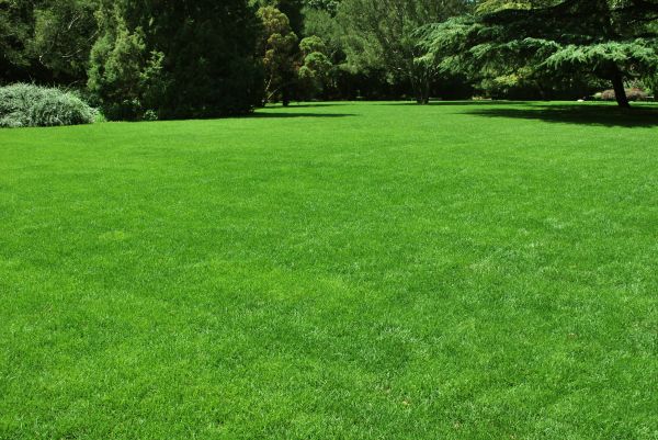 Lawn Landscaping in Terre Haute