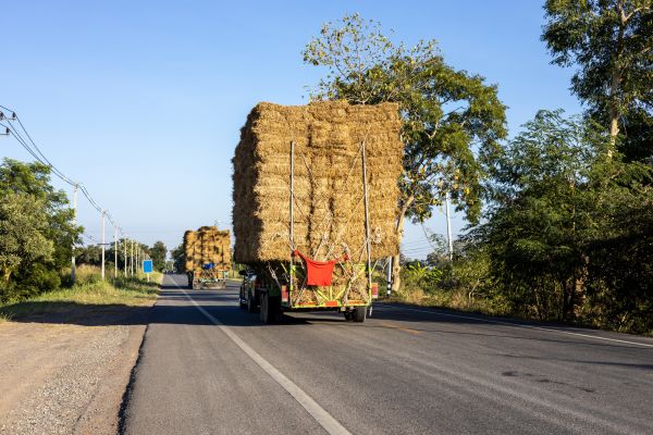 Pine Straw Delivery in Terre Haute