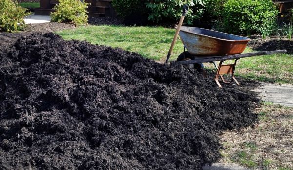 Black Mulch Delivery in Terre Haute
