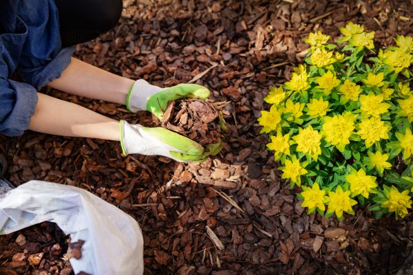 Garden Mulching in Terre Haute