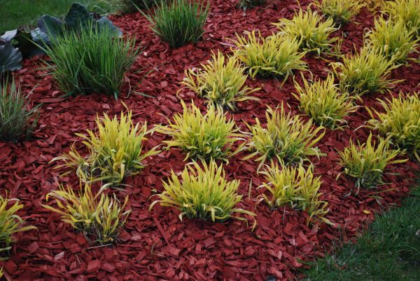 Mulch Landscaping in Terre Haute