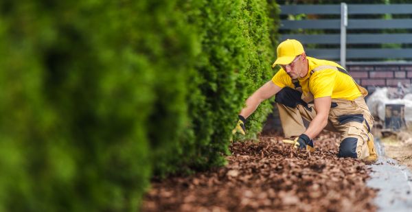Cypress Mulch Installation in Terre Haute