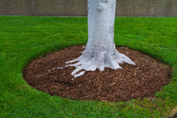 Brown Mulch Installation in Terre Haute