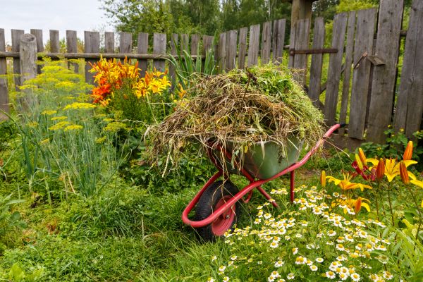 Garden Cleanup Service in Terre Haute