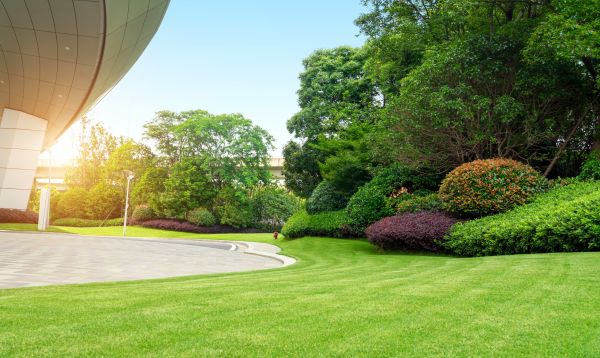 Business Landscape Design in Terre Haute
