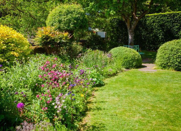 Yard Landscaping Service in Terre Haute