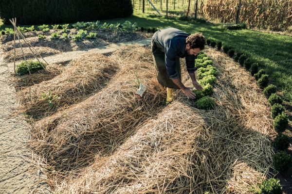 Straw Mulching Service in Terre Haute