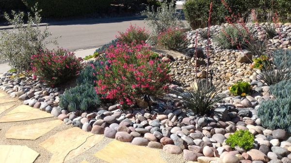 Xeriscape Landscaping in Terre Haute