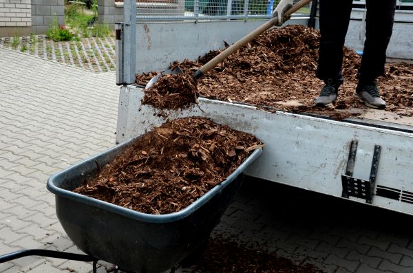 Landscape Mulch Delivery in Terre Haute