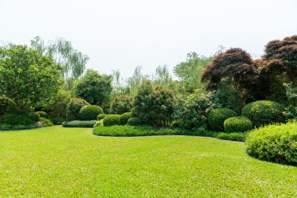Tree Landscaping in Terre Haute