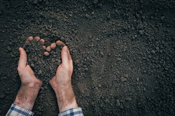 Soil Installation in Terre Haute