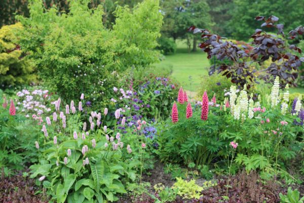 Flower Bed Planting in Terre Haute