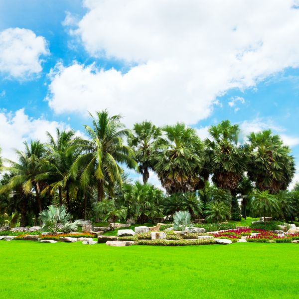 Tropical Landscaping in Terre Haute