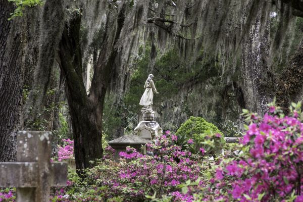 Cemetery Landscaping in Terre Haute