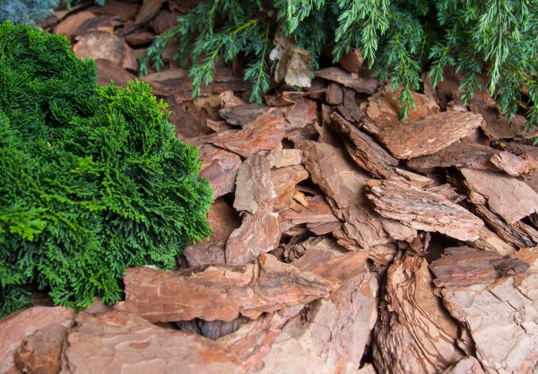 Pine Bark Installation in Terre Haute