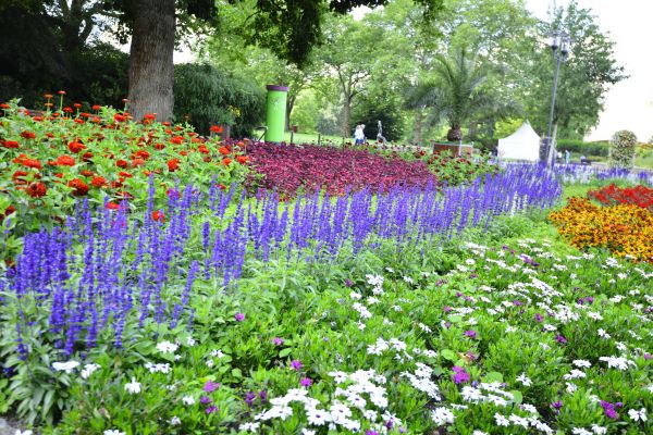 Perennials Planting in Terre Haute