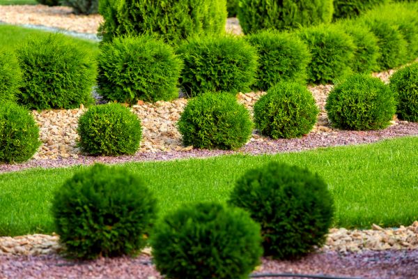 Bush Installation in Terre Haute