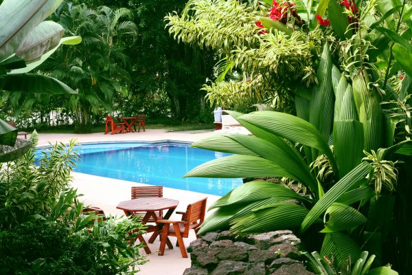 Pool Area Landscaping in Terre Haute