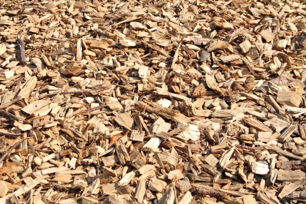Wood Mulch Delivery in Terre Haute