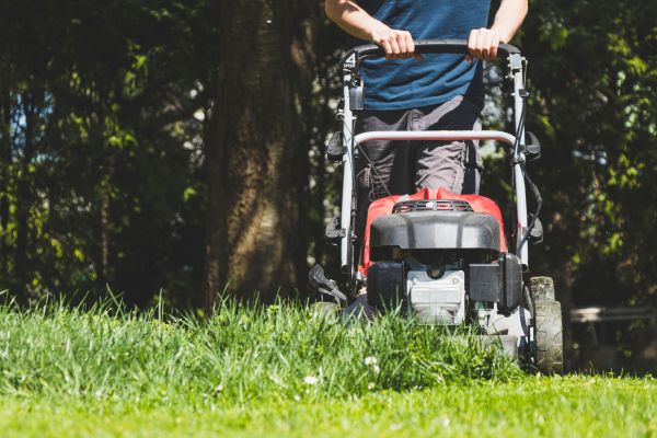 Garden Trimming Service in Terre Haute
