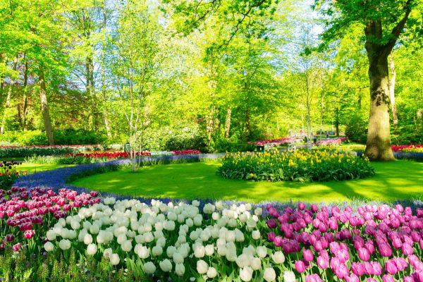 Flower Landscaping in Terre Haute