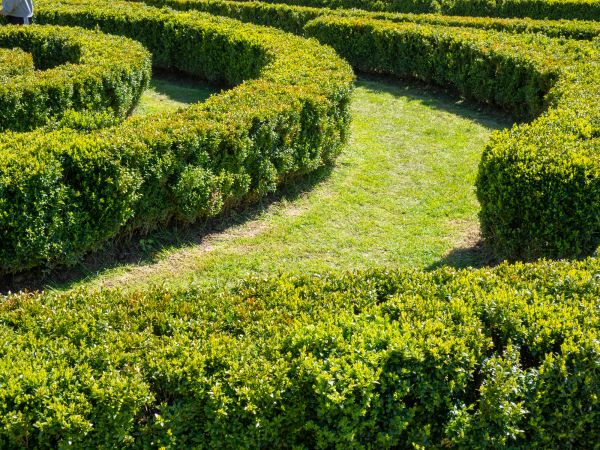 Bush Landscaping in Terre Haute