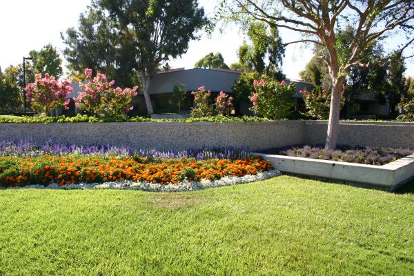 Commercial Landscape Service in Terre Haute