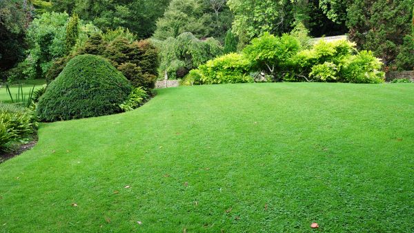 Commercial Landscape Design in Terre Haute