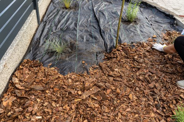 Pine Bark Spreading in Terre Haute
