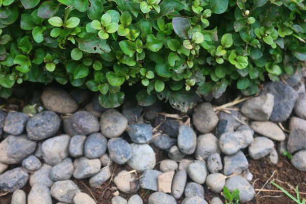 River Stone Installation in Terre Haute