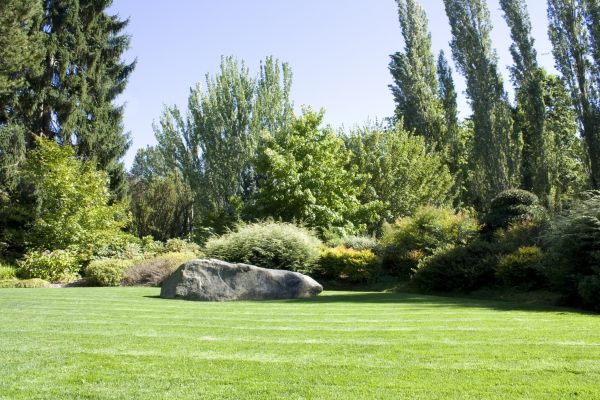Yard Enlargement in Terre Haute