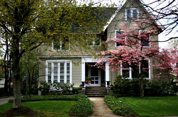 Ornamental Tree Planting in Terre Haute