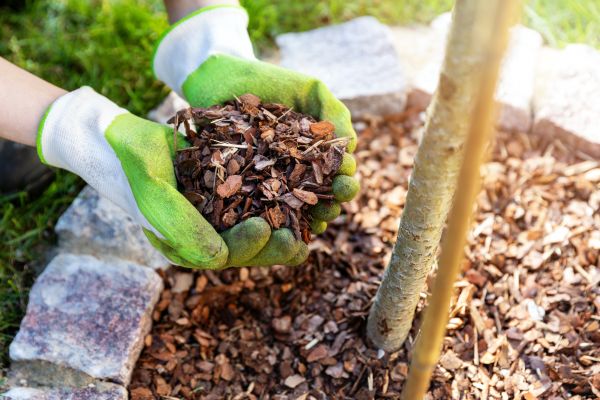 Tree Bark Delivery in Terre Haute