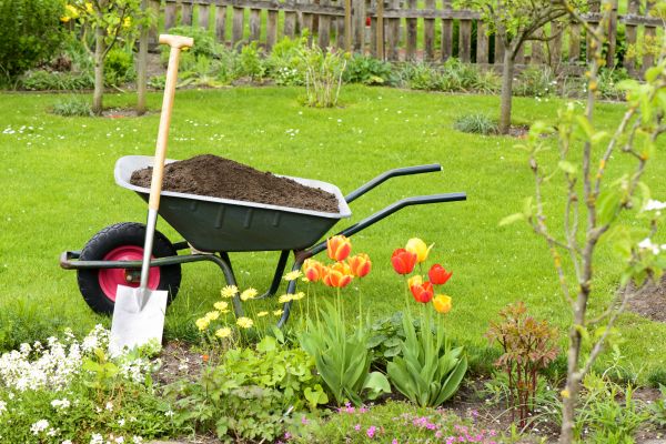 Spring Yard Renovation in Terre Haute