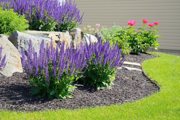 Landscape Planting Service in Terre Haute