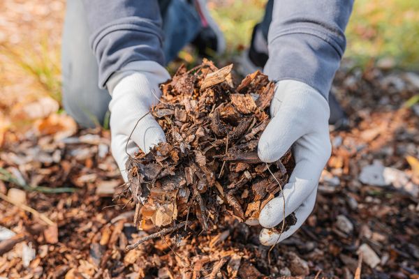 Shredded Mulch Installation in Terre Haute
