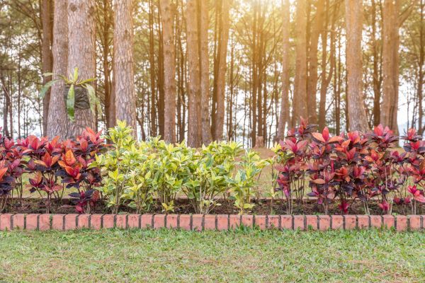 Small Garden Landscaping in Terre Haute