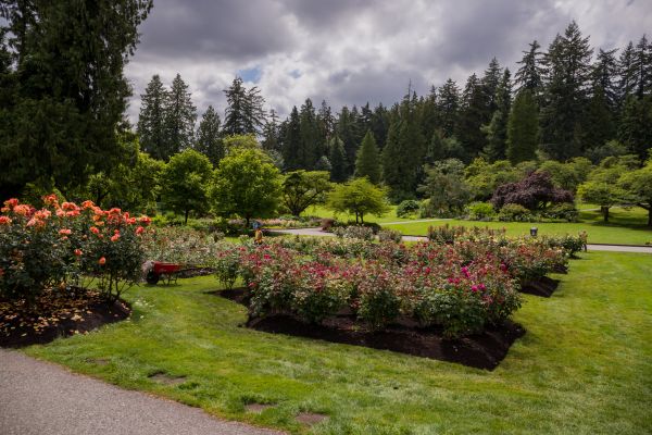 Flower Garden Landscaping in Terre Haute