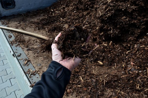 Condo Mulching in Terre Haute