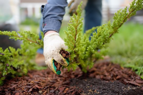Church Mulching in Terre Haute