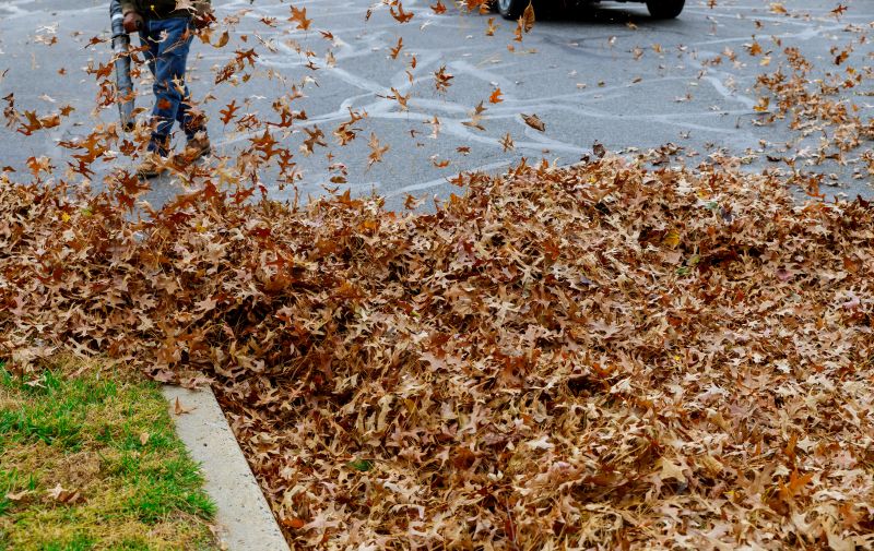 Leaf Blowing Near Walkways